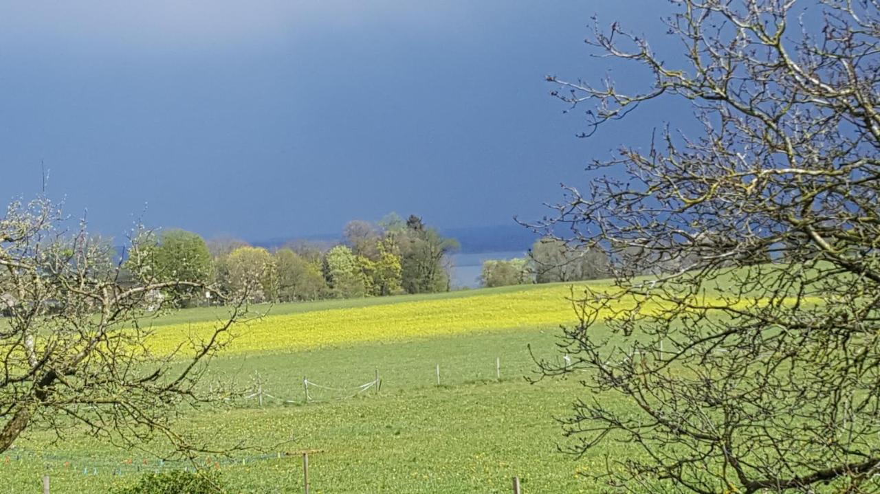 Ferienwohnung Chiemseezeit :-) - Familie Lechermann Gstadt am Chiemsee Eksteriør bilde